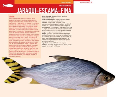 Peixes comerciais Manaus (Vol 4) - laboratório de zoologia - ufam