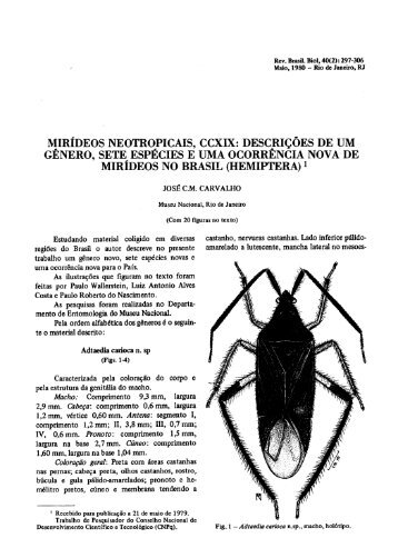 MIRIDEOS NO BRASIL (HEMIPTERA)1 - AMNH Research Sites