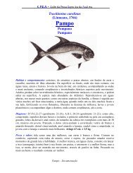 Documentação em PDF - cpeabrasil