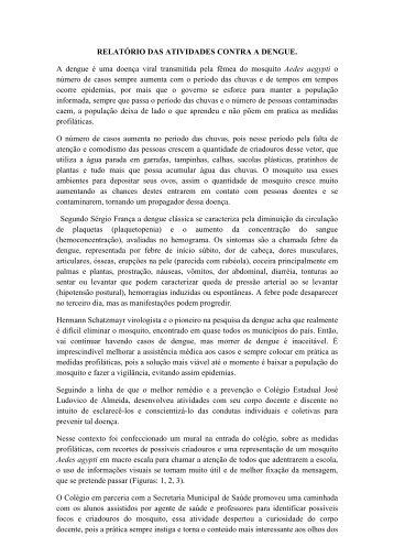 relatório da dengue - Colégio Estadual José Ludovico de Almeida