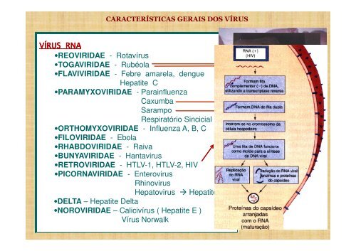 Características Gerais dos Vírus - Unirio