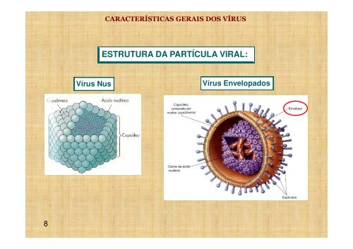 Características Gerais dos Vírus - Unirio