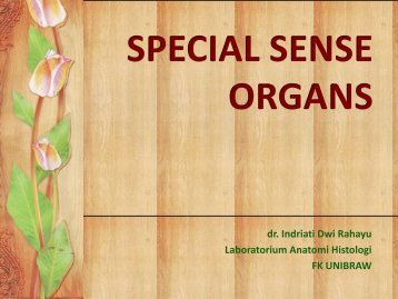 SPECIAL sense bidan_PSIK SP 2012