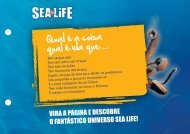 Dossier_Polvo - Sea Life