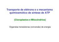 12-Transporte eletrons-teoria quimiosmotica_2011a.pdf