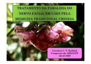 Abravet - Paralisa do Nervo Facial