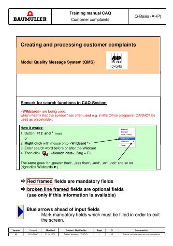 Training manual QMS Customer Complaints - Baumueller-services ...