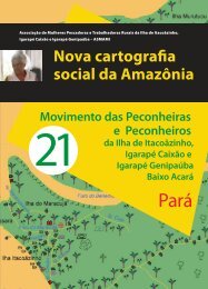 21 E Peconheiros - Nova Cartografia Social da Amazônia