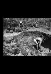 106 • Catálogo de Filmes: 81 anos de cinema no ... - ABD Capixaba