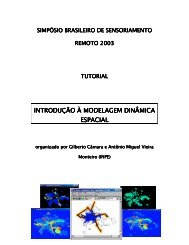 INTRODUÇÃO À MODELAGEM DINÂMICA ESPACIAL - DPI - Inpe