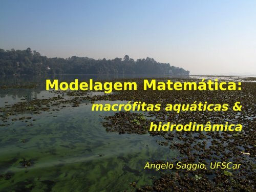 Modelagem Matemática: - Sabesp
