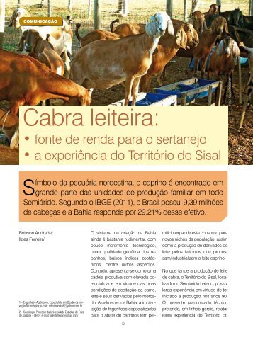 Cabra leiteira: fonte de renda para o sertanejo - Seagri