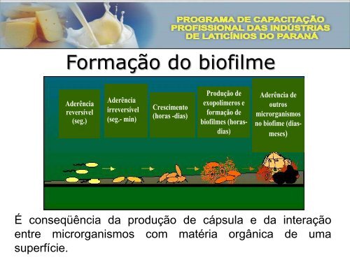 Módulo II Qualidade do Leite e Laticínios