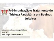 Pré-imunização e Tratamento de Tristeza Parasitária em Bovinos ...