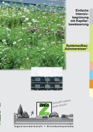 Sommerwiese - ZinCo