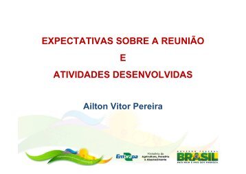 expectativas sobre a reunião e atividades desenvolvidas