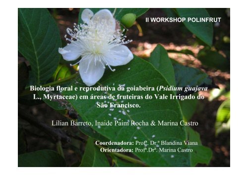 Biologia floral e reprodutiva da goiabeira (Psidium guajava ... - LABEA