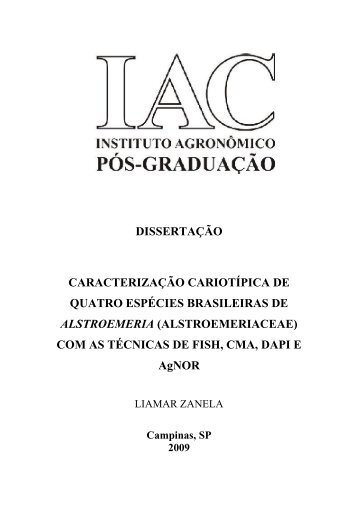 com as técnicas de FISH, CMA, DAPI - IAC