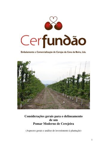 Considerações gerais para o delineamento de um ... - Cerfundão