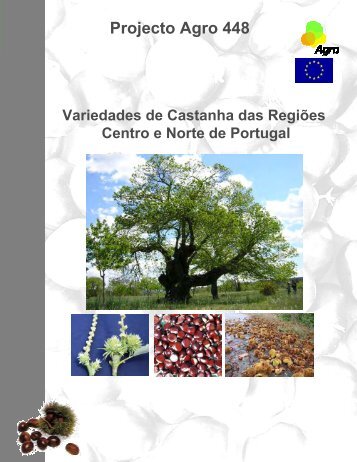 Variedades de Castanha das Regiões Centro e Norte - INRB