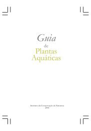 Tratamento De Efluentes Com Plantas Aquaticas Bioma Pampa