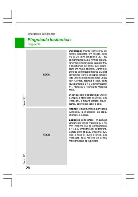 Guia de plantas aquáticas