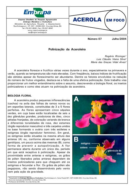 Polinização da Aceroleira - Embrapa Mandioca e Fruticultura