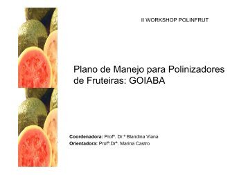 Plano de Manejo para Polinizadores de Fruteiras: GOIABA - LABEA