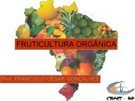 FRUTICULTURA ORGÂNICA - Campus Rio Pomba