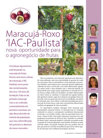 Maracujá-roxo 'iAc-Paulista'