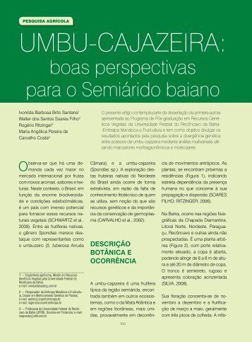 UMBU-CAJAZEIRA: boas perspectivas para o semiárido ... - Seagri