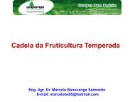 Aula Cadeia da Fruticultura Temperada.pdf