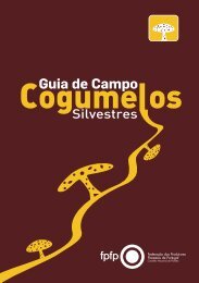 Guia de Campo - Cogumelos Silvestres - DRAP Centro
