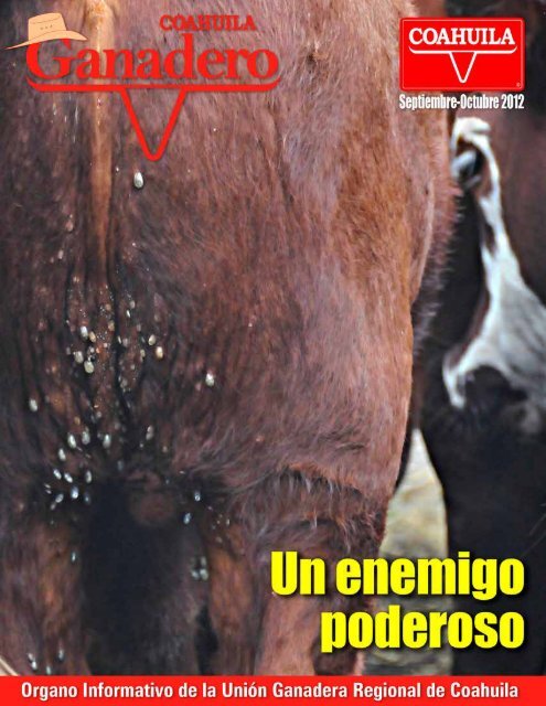 un caballo - Union Ganadera de Coahuila