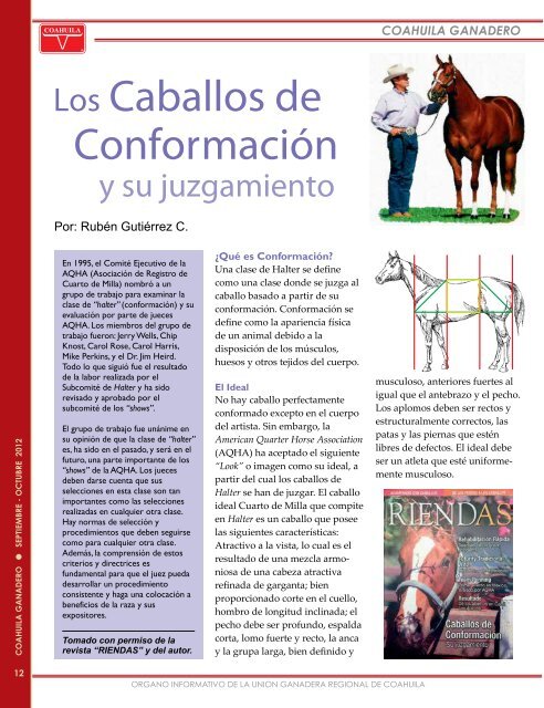 un caballo - Union Ganadera de Coahuila