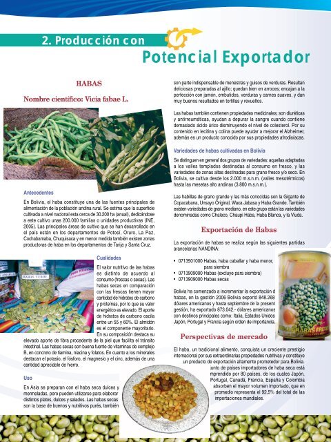 Producción con Potencial Exportador: Haba - IBCE