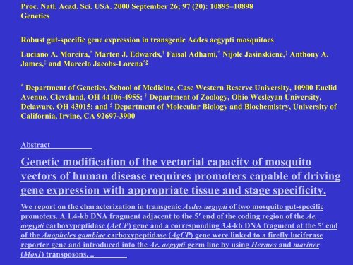 Técnicas básicas de biologia molecular II - DBBM