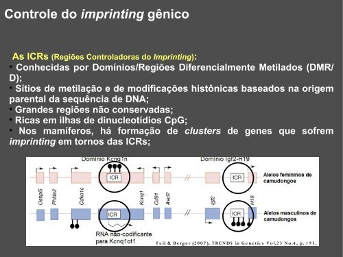 Controle do imprinting gênico - Genética