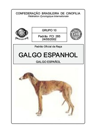 galgo espanhol - cbkc - Confederação Brasileira de Cinofilia