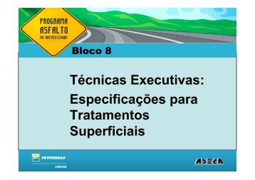 8_Tecnicas_Executivas_V_CAP8.pdf - DET