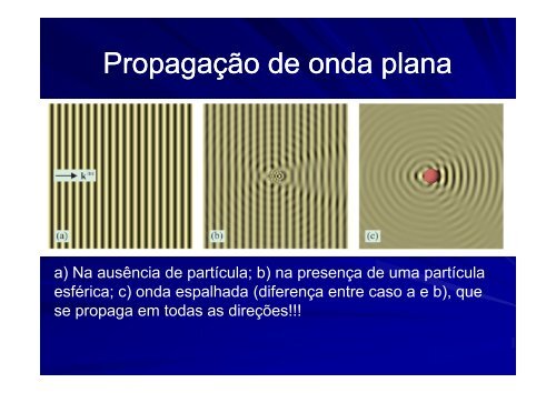 Função de fase para o espalhamento Rayleigh