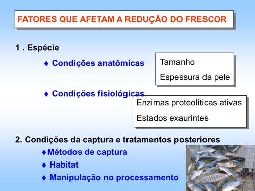 Processamento de pescado.pdf
