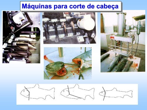 Processamento de pescado.pdf