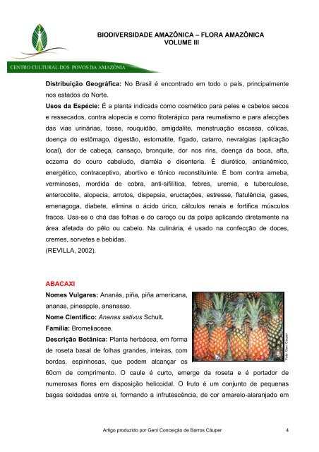 biodiversidade amazônica – flora amazônica - Centro Cultural dos ...