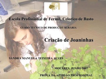 Apresentação PAP de Sandra Alves - Escola Profissional Fermil ...