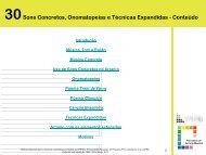 Conteúdo - Pró-Licenciatura em Música EAD - ufrgs