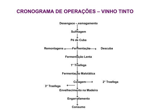 Prof. Aparecido - Vapraq