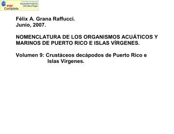 to get the file - Puerto DRNA "Navega por el ambiente"