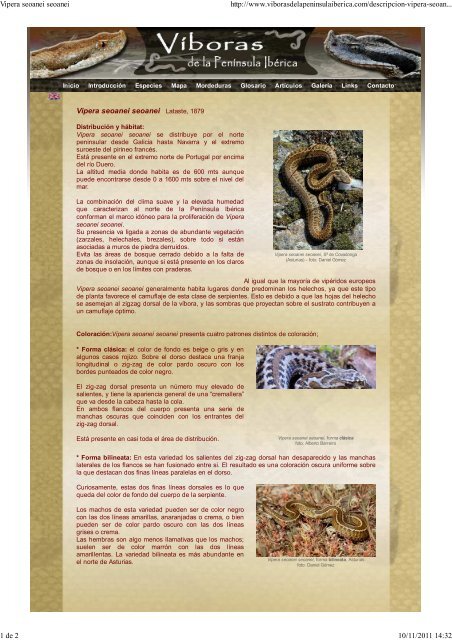 Víboras de la península ibérica.pdf - Revilla de Pomar