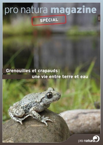 Grenouilles et crapauds: une vie entre terre et eau» (pdf) - Pro Natura